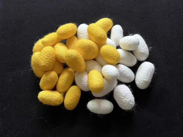 product-600-450